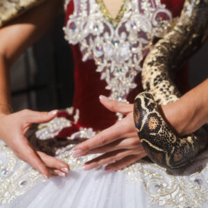 The Cave Collection. Photography by Lily Shea